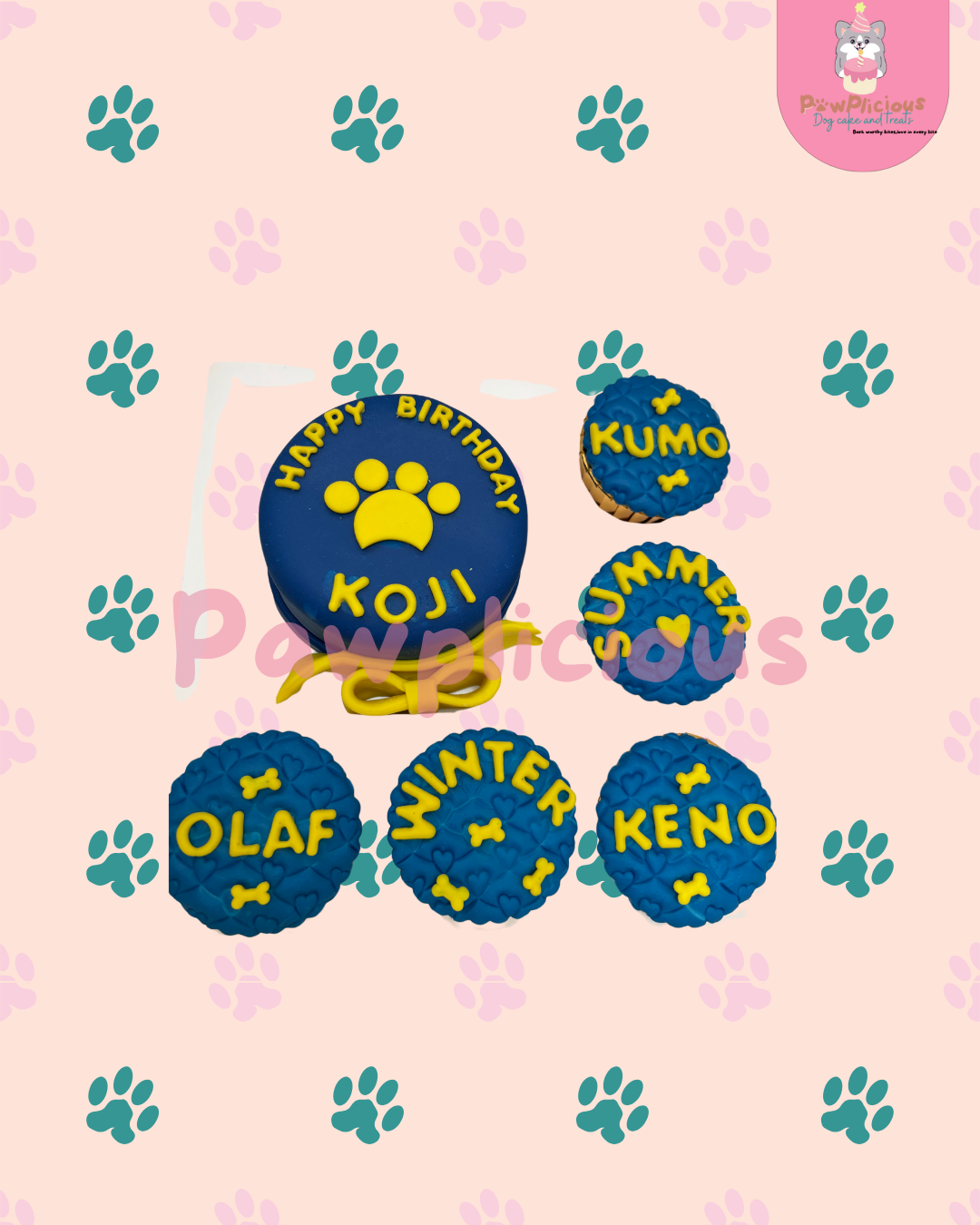 Paw-ty Treat Bundle