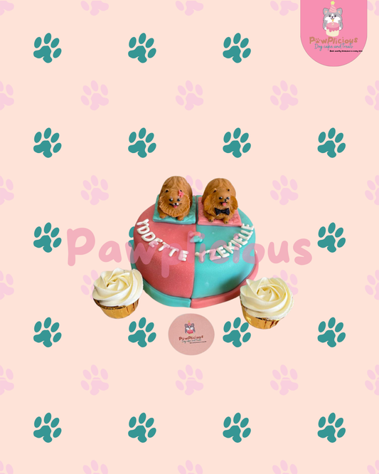 Double Trouble Cake